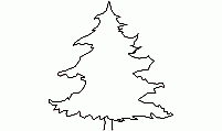 Elevation view of spruce tree - Abies alba AutoCAD block Spruce tree (Abies alba) elevation - CAD vegetation drawing